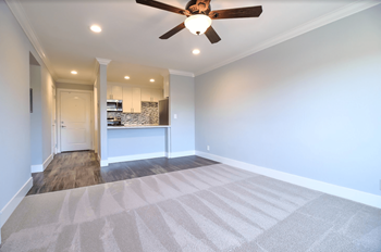 Large living room 